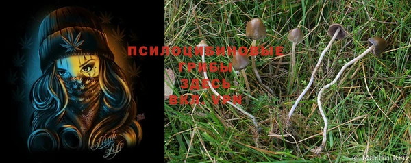 мескалин Кукмор