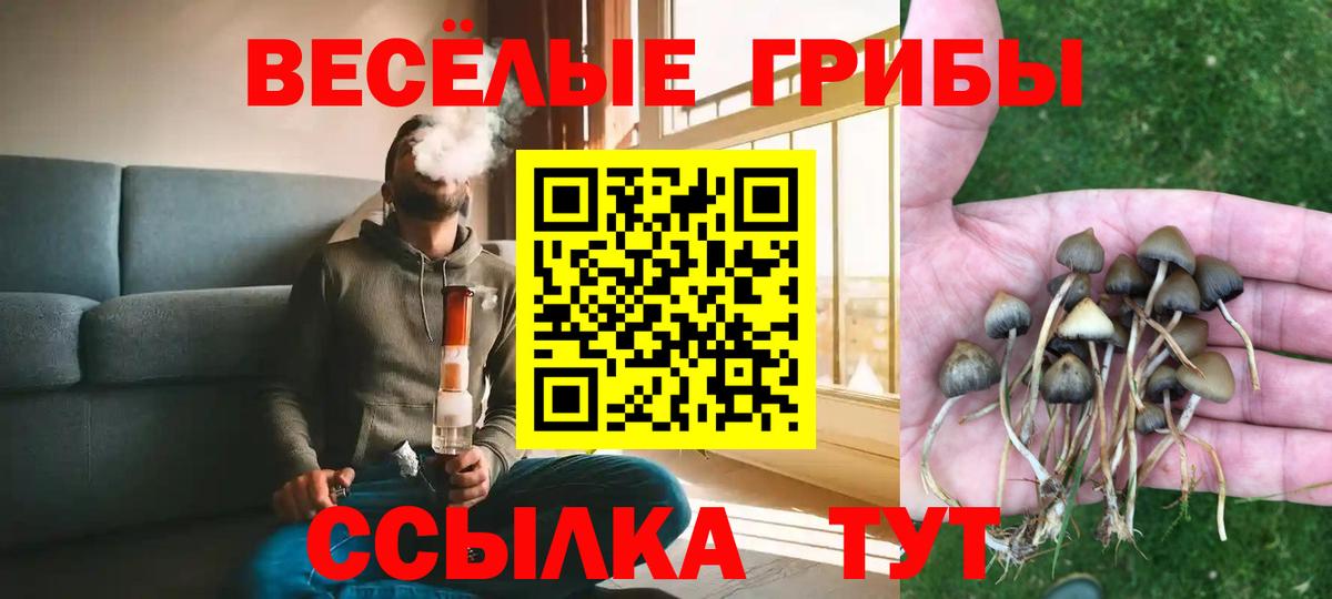 Ливны  Галлюциногенные грибы GOLDEN TEACHER  Вход с VPN 