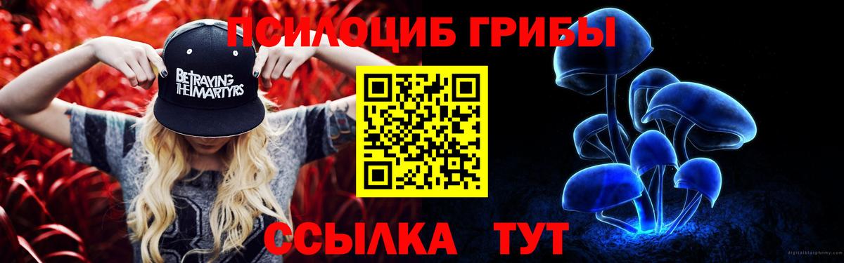 Псилоцибиновые грибы мицелий Ливны